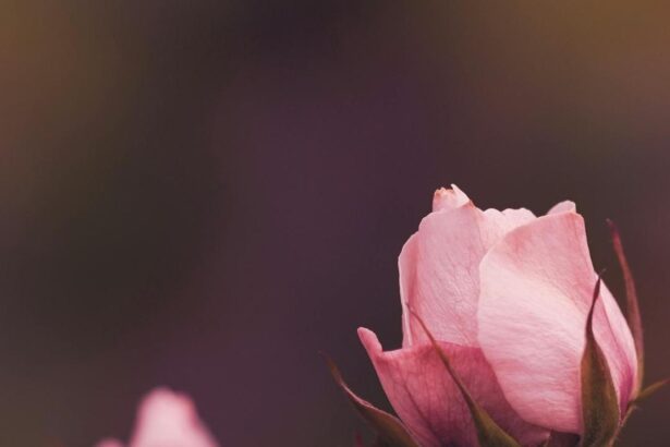 Why has my intimate area become darker over time