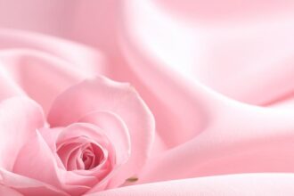 Why does one side of my labia look different