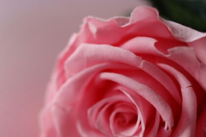 Is My Labia Size Normal? Guide To Labia Size