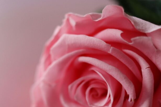 Is My Labia Size Normal? Guide To Labia Size