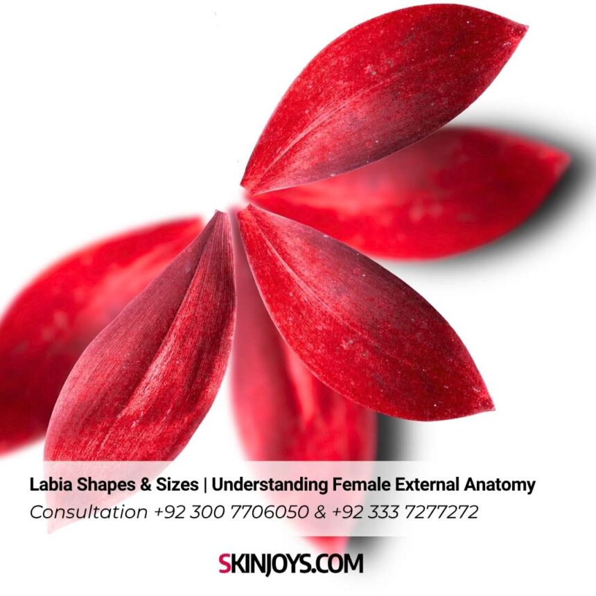 Labia Shapes & Sizes